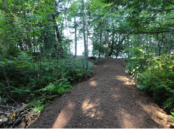 DEP Certified Foot Path providing access to Great Pond constructed by Rossignol's Excavating.